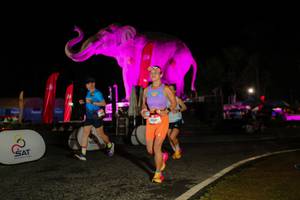 BIB: 
                            <button type="button" onclick="openModal(26534497)" class="btn btn-primary btn-sm float-right btn-popup" data-toggle="modal" data-target=".modal-high-quality">
                        <i class="fas fa-shopping-cart"></i> Add to Cart
                    </button>
                                            <button type="button" onclick="isThisMe(26534497, true)" class="btn btn-success btn-sm float-right btn-popup btn-isme hidden" data-toggle="tooltip" data-placement="bottom" title="นี่คือรูปของคุณใช่ไหม คลิกที่นี่เพื่อเอาเข้าอัลบั้ม">
                        <i class="fas fa-plus"></i> Add to album
                    </button>
                    <button type="button" onclick="isThisMe(26534497, false)" class="btn btn-warning btn-sm float-right btn-popup btn-isnotme hidden">
                        <i class="fas fa-ban"></i> Remove from album
                    </button>